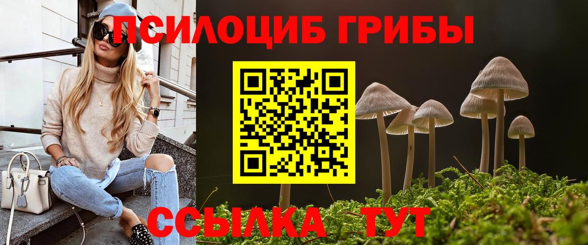Псилоцибиновые грибы GOLDEN TEACHER Сургут