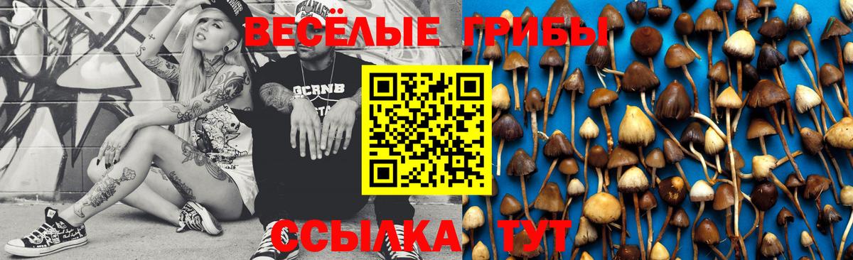 Сургут  даркнет сайт  Вход с VPN  Галлюциногенные грибы MAGIC MUSHROOMS 
