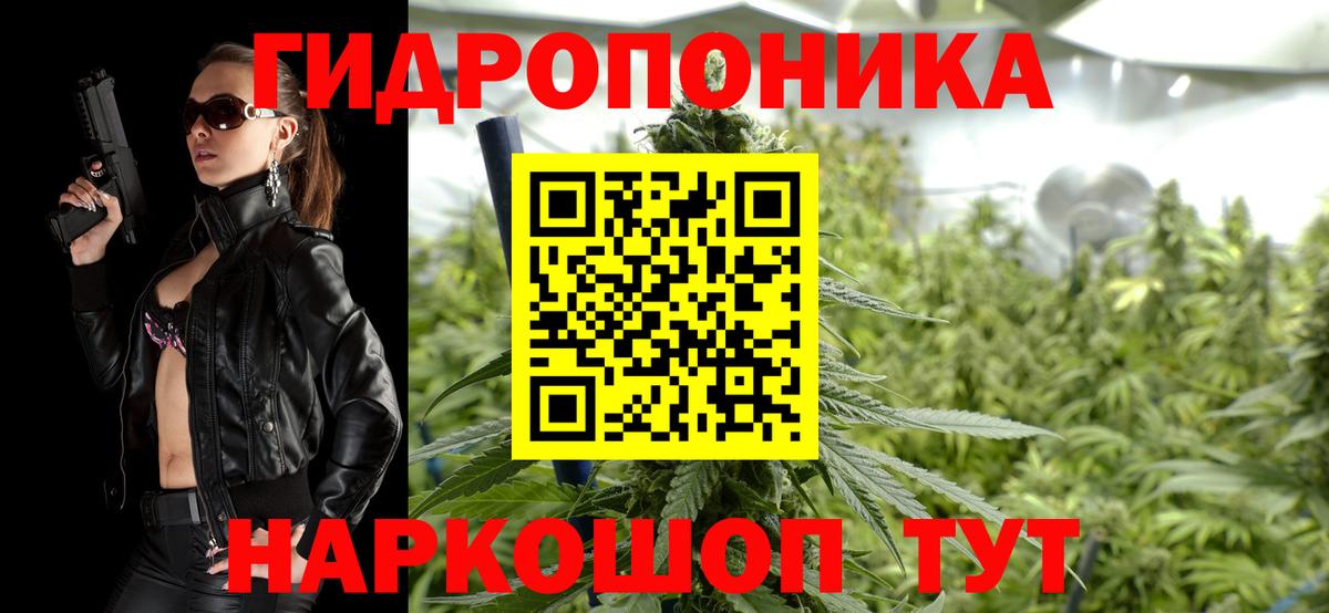 Сургут  Марихуана марихуана  Канабис план  Канабис SATIVA & INDICA  Вход с VPN  Канабис план 